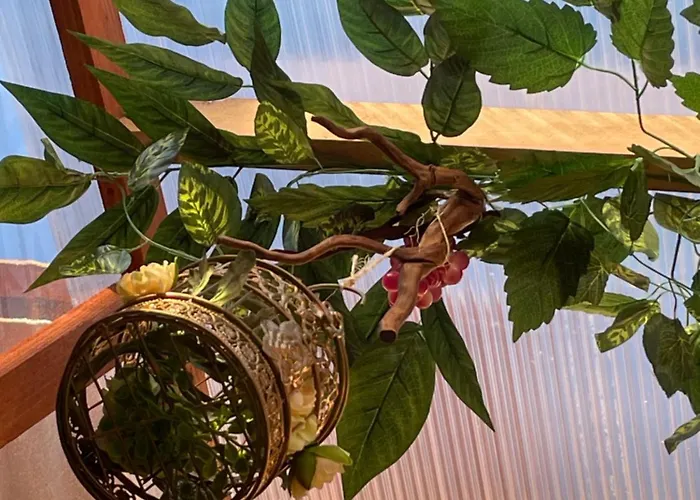 Homestay szállás Vittorina's